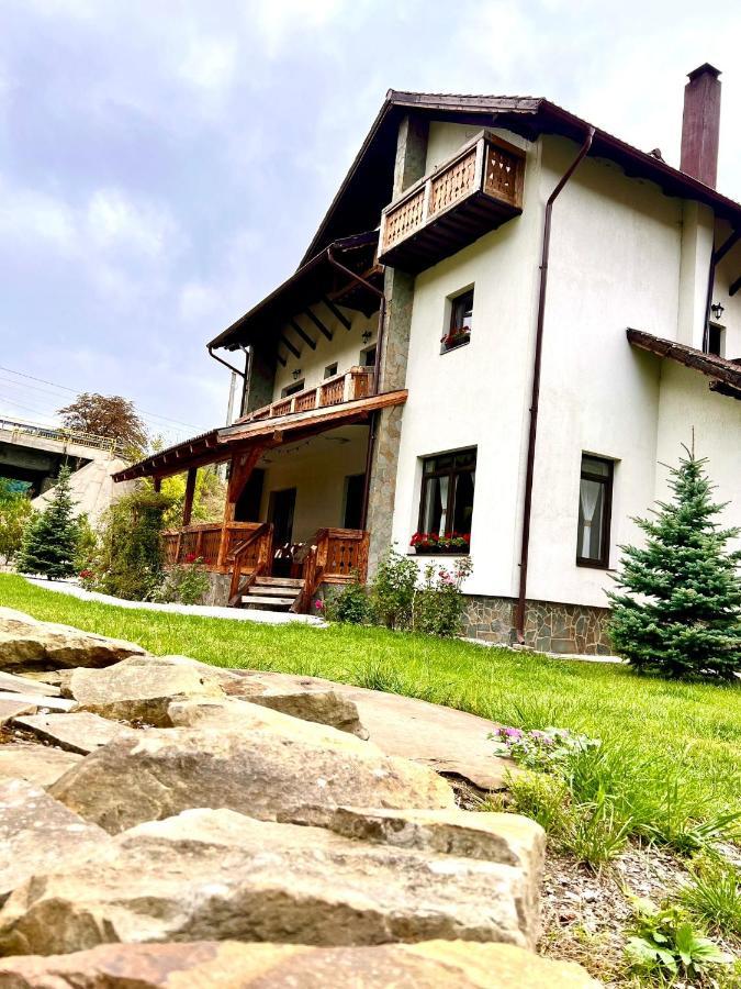 Pensiunea Ioana Sadova (Suceava) Exterior foto
