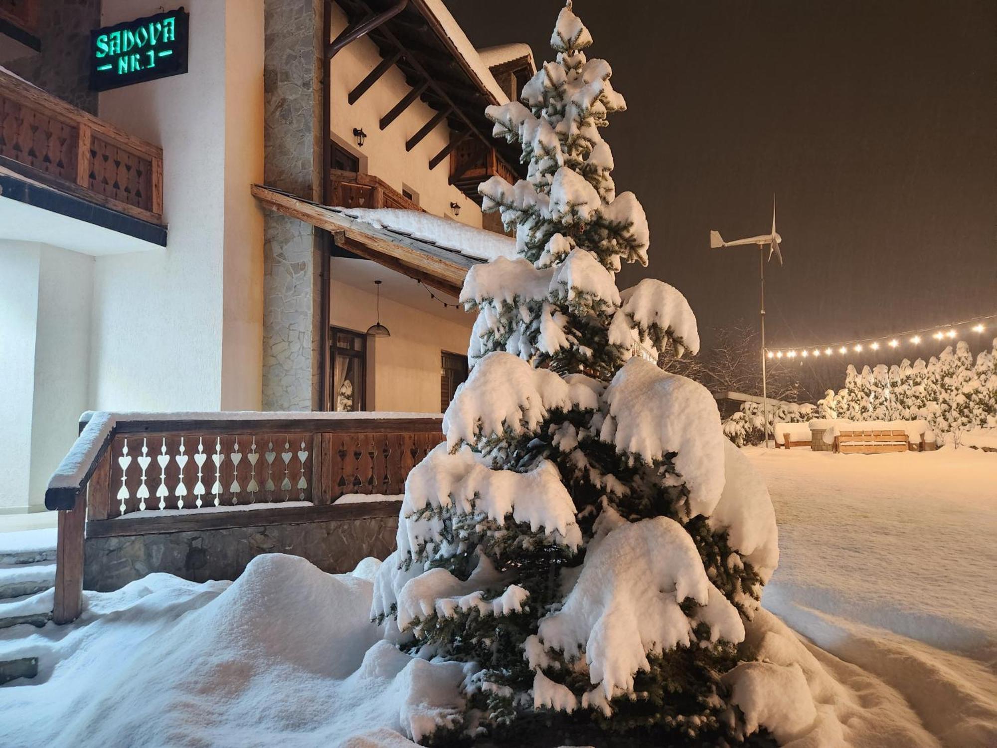 Pensiunea Ioana Sadova (Suceava) Exterior foto